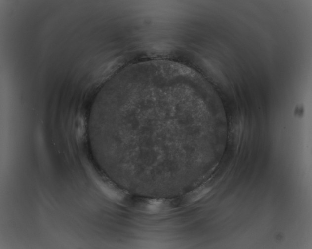 X0000092220130200710051206