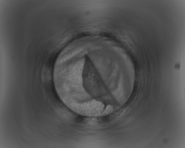 X0000092220131200710051206