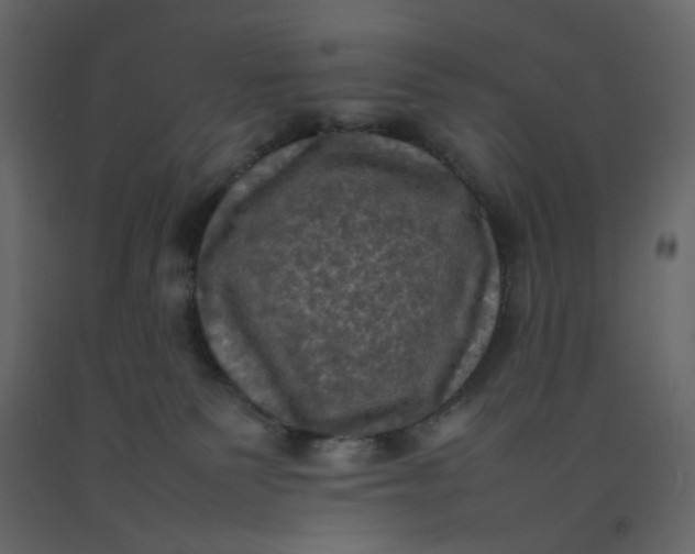 X0000092220135200710051206