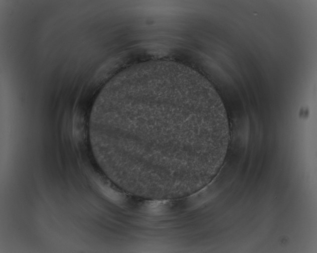 X0000092220136200710051206
