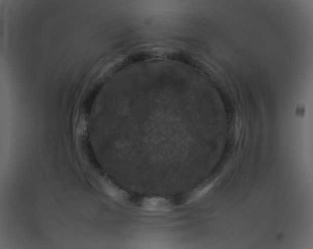 X0000092220137200710051206