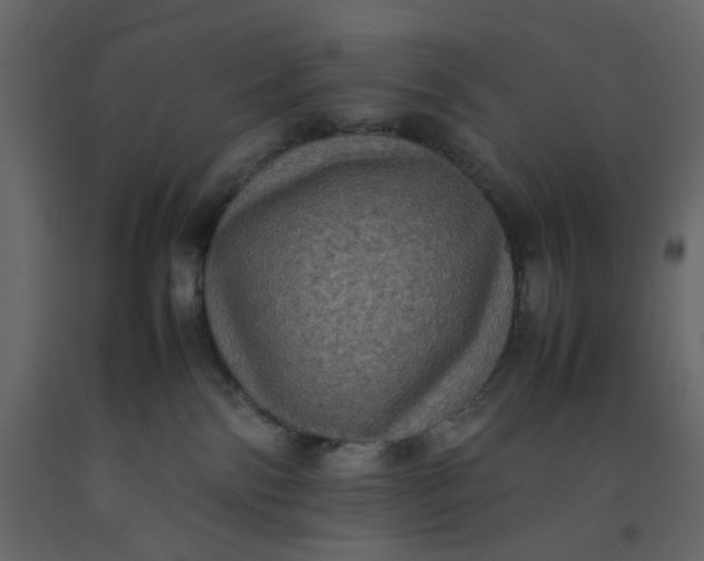 X0000092220138200710051206