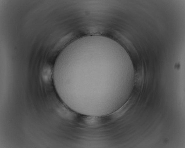 X0000092220142200710051206