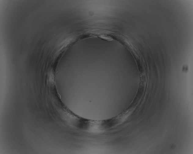 X0000092220143200710051206