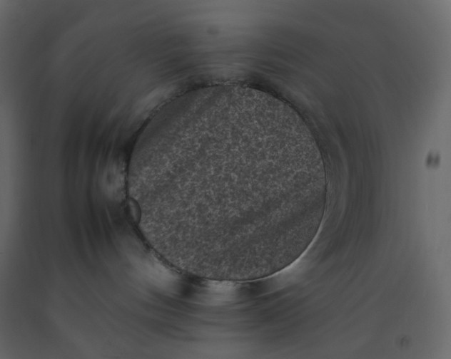 X0000092220144200710051206