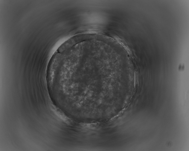 X0000092220147200710051205