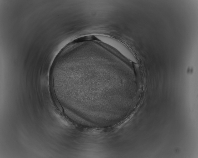 X0000092220148200710051205
