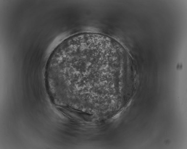 X0000092220151200710051205