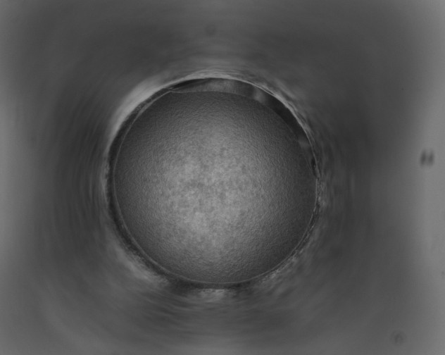 X0000092220152200710051205
