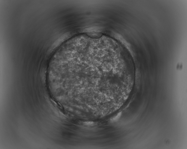 X0000092220153200710051205
