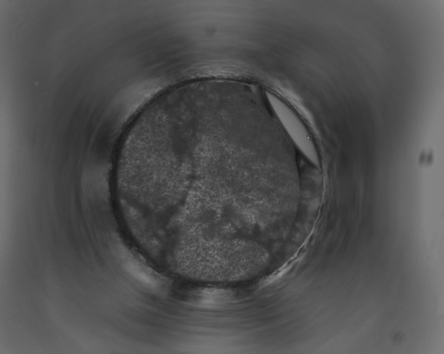 X0000092220154200710051205