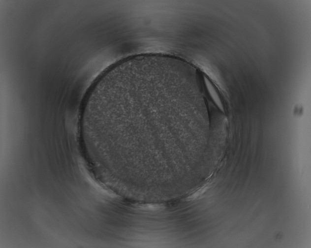 X0000092220156200710051205