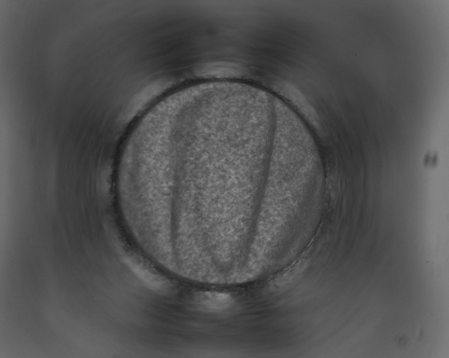X0000092220159200710051205