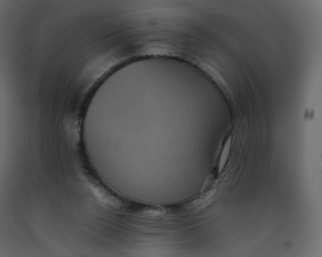 X0000092220160200710051205