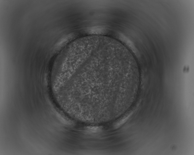 X0000092220161200710051205