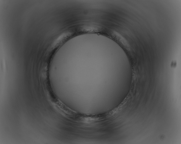 X0000092220163200710051205