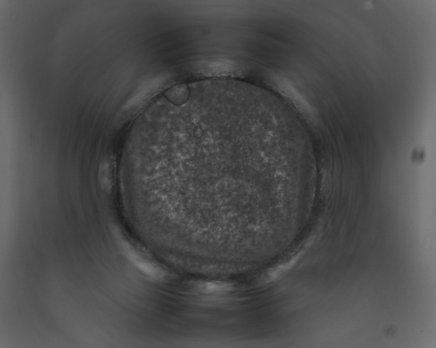 X0000092220165200710051206