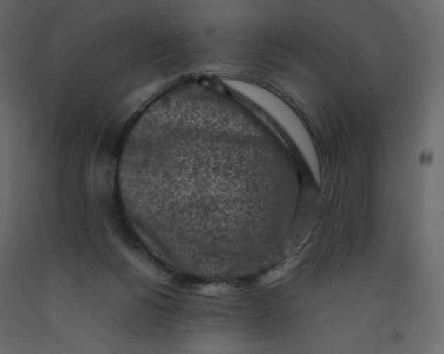 X0000092220168200710051206