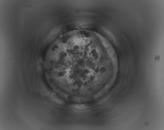 X0000092220169200710051206