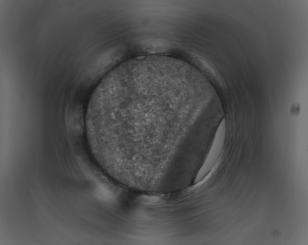 X0000092220170200710051206