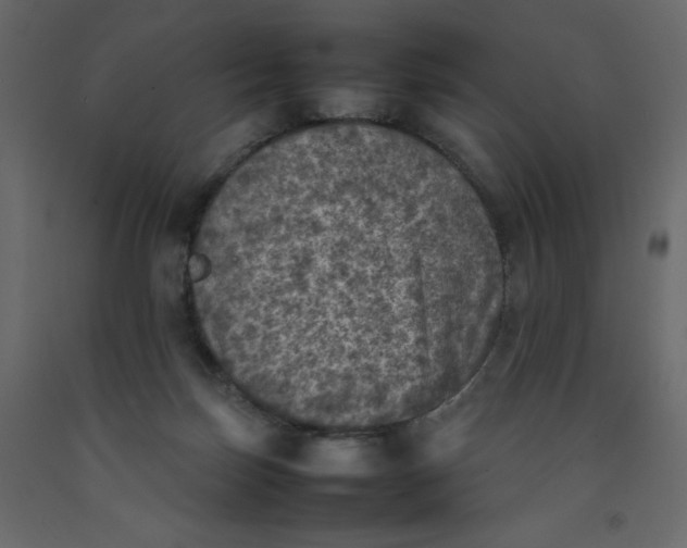 X0000092220171200710051206