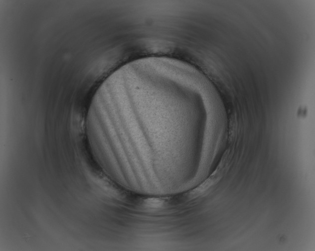 X0000092220176200710051206