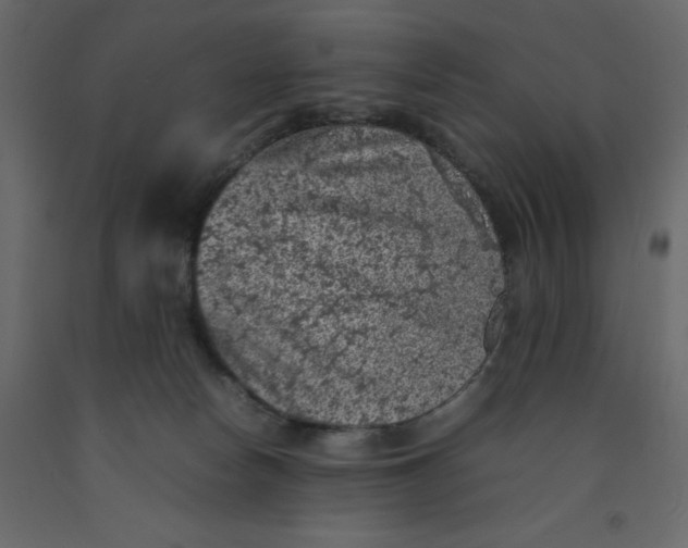 X0000092220178200710051206