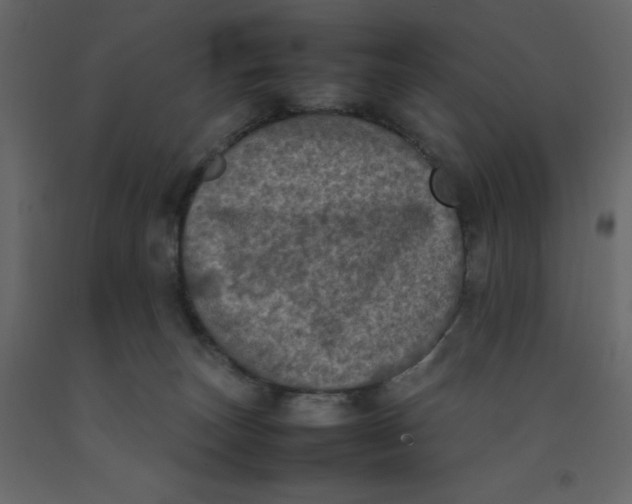 X0000092220179200710051206