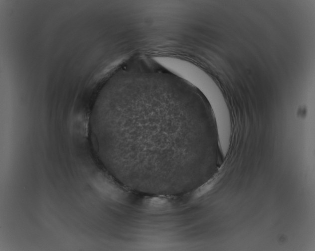 X0000092220180200710051206