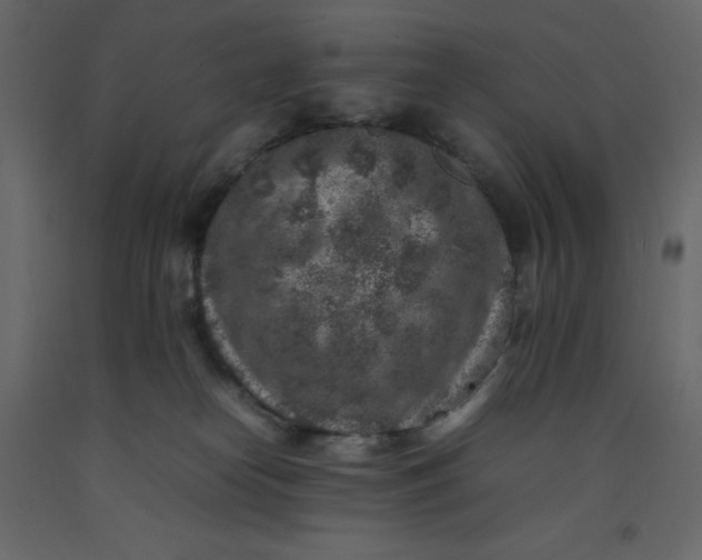 X0000092220182200710051206