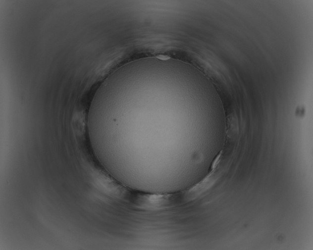 X0000092220184200710051206