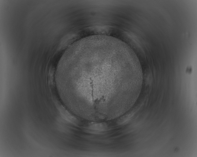 X0000092220185200710051206