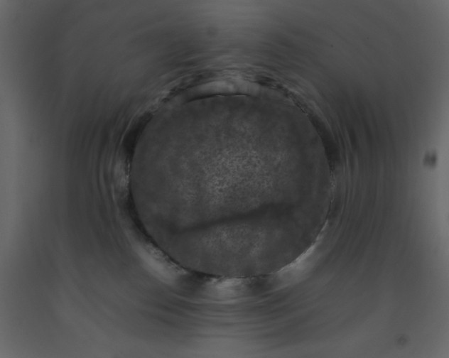 X0000092220186200710051206