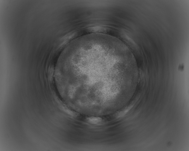 X0000092220189200710051206