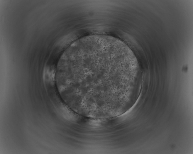 X0000092220190200710051206