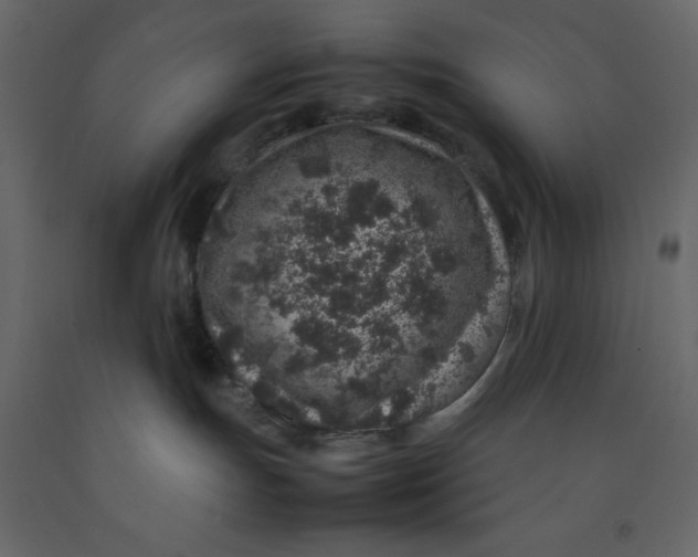 X0000092220191200710051206