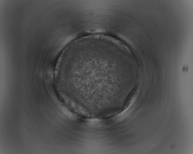 X0000092220192200710051206