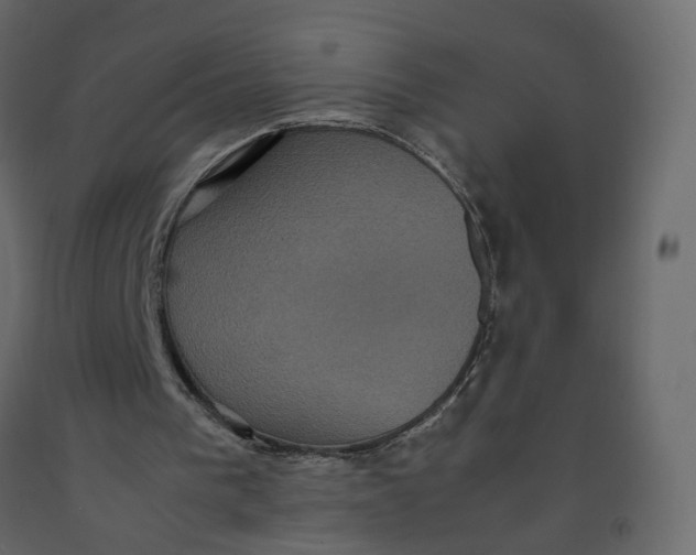 X0000092220193200710051205