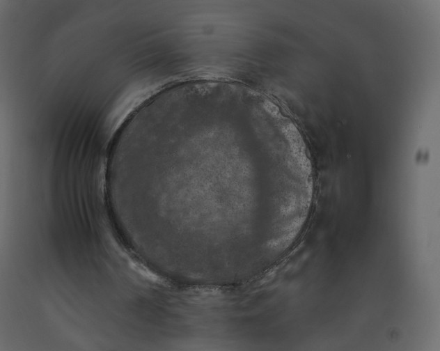 X0000092220194200710051205