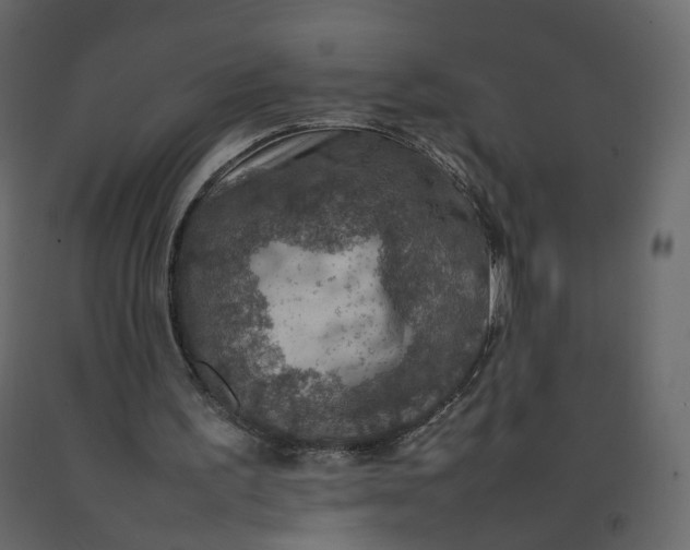 X0000092220195200710051205