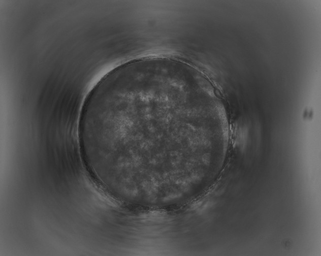 X0000092220196200710051205