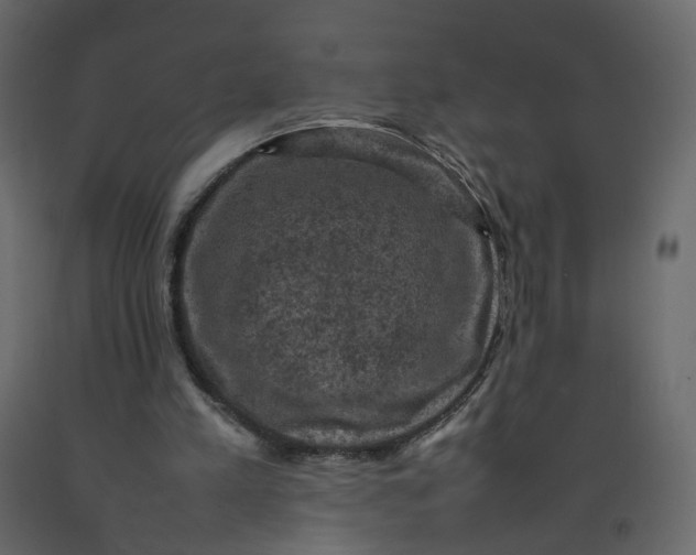 X0000092220197200710051205