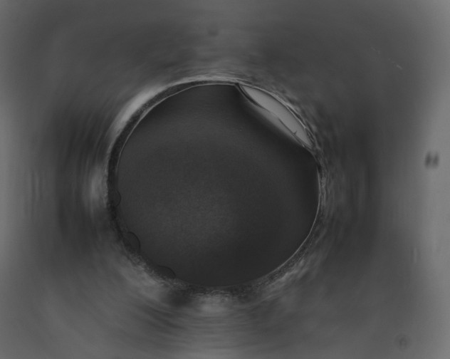 X0000092220200200710051205