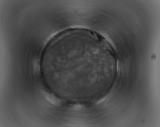 X0000092220204200710051205