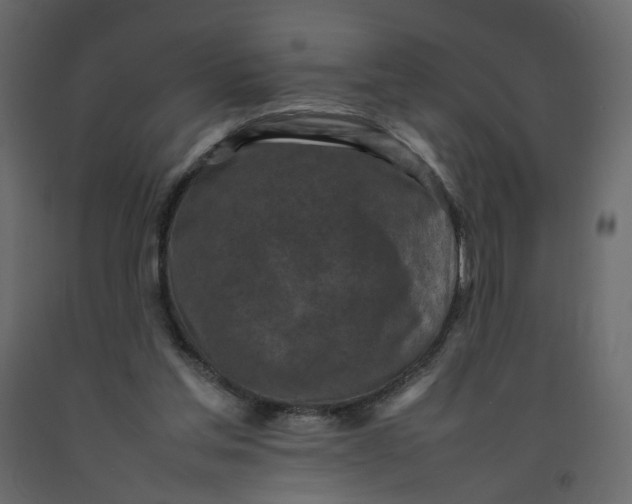 X0000092220205200710051205