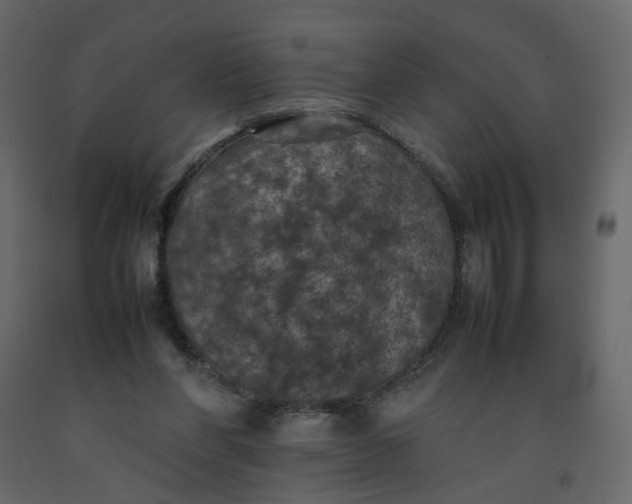 X0000092220206200710051205