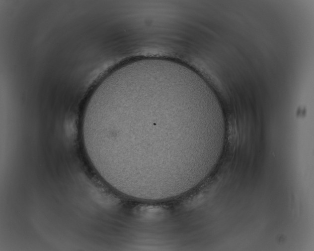 X0000092220208200710051205