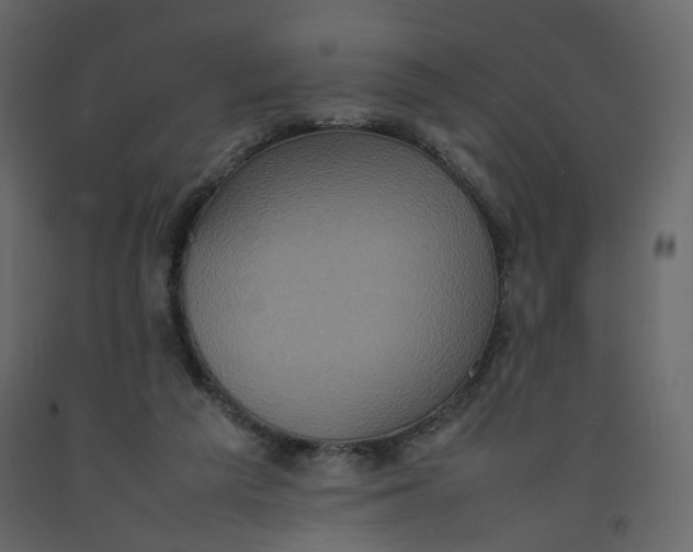 X0000092220209200710051205