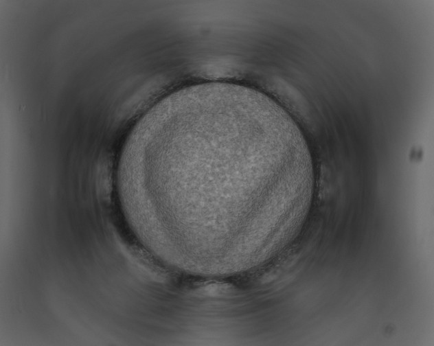 X0000092220210200710051205