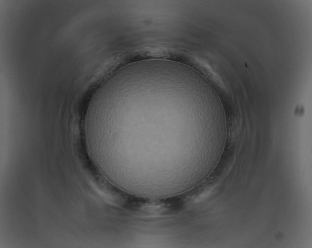 X0000092220213200710051205